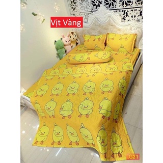 Sét Chăn Ga Gối Poly Cotton