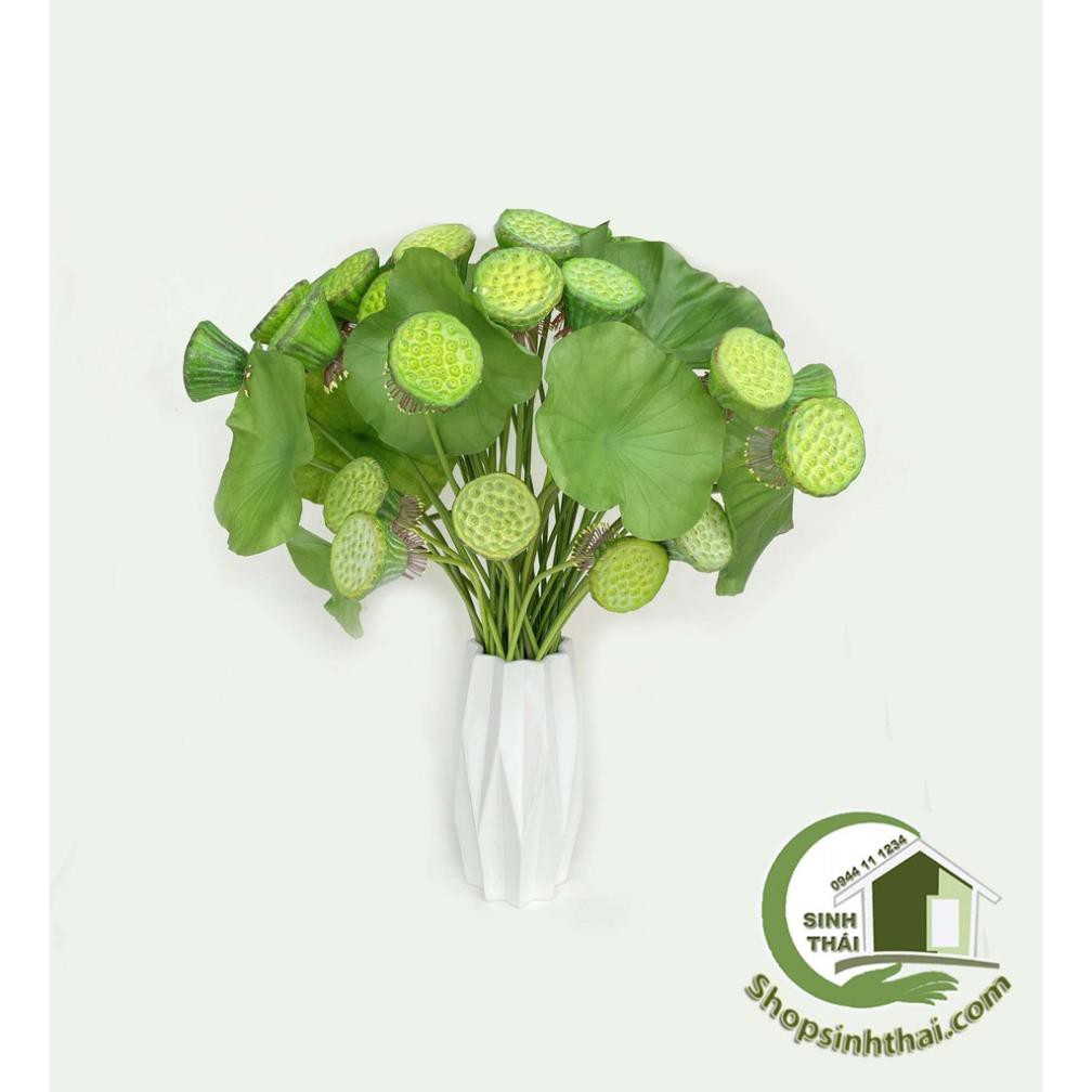 Lá sen, gương sen giả - cành gương lá sen giả cao cấp Thái Lan -  chọn cành