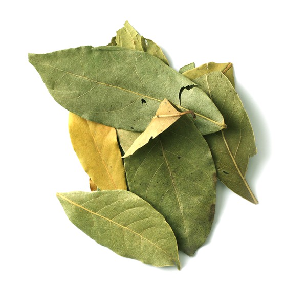 Lá nguyệt quế