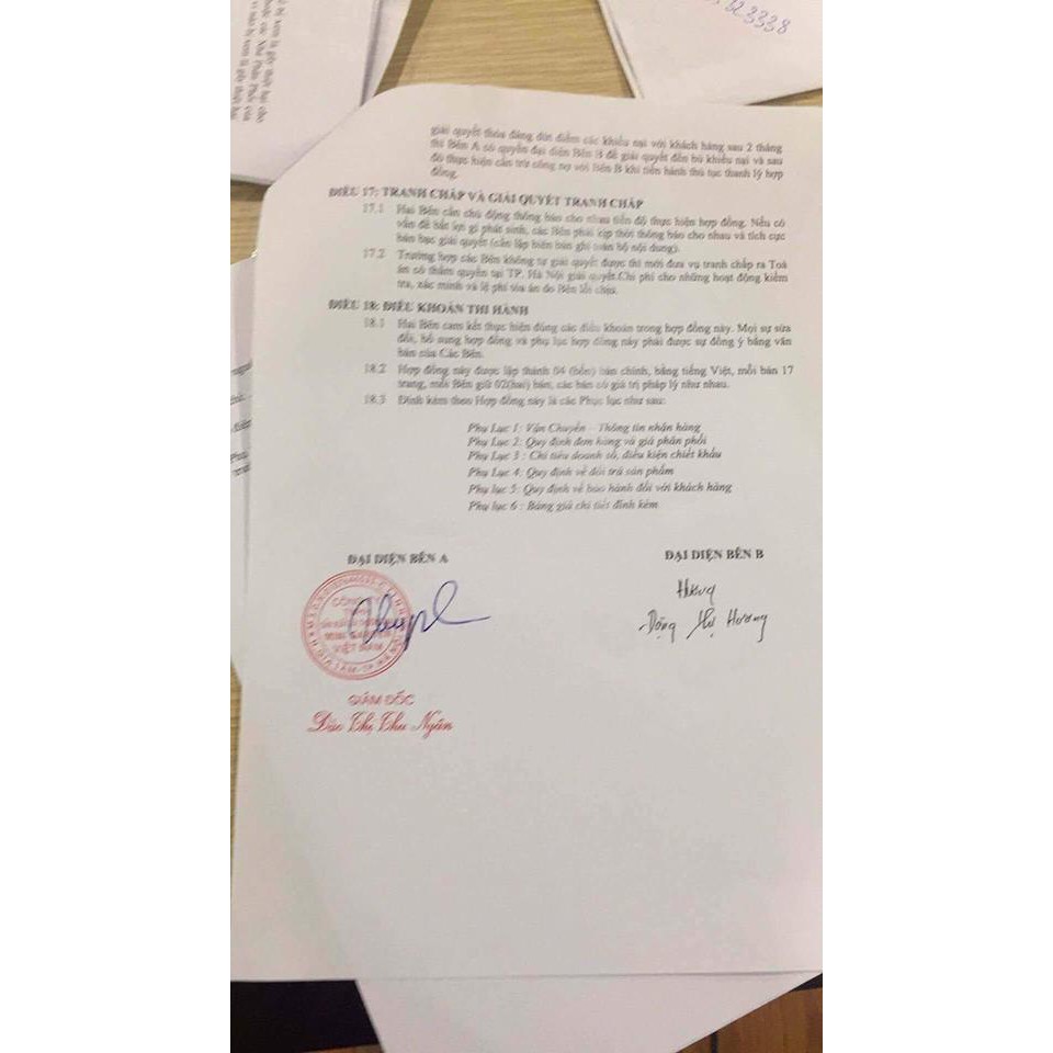 FREESHIP 99K Son rose mini garden chính hãng