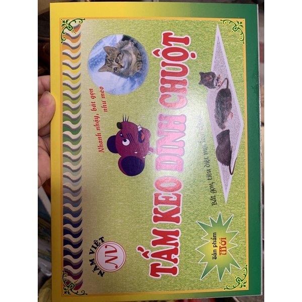 keo dính chuột xanh mỏng, keo bẫy chuột