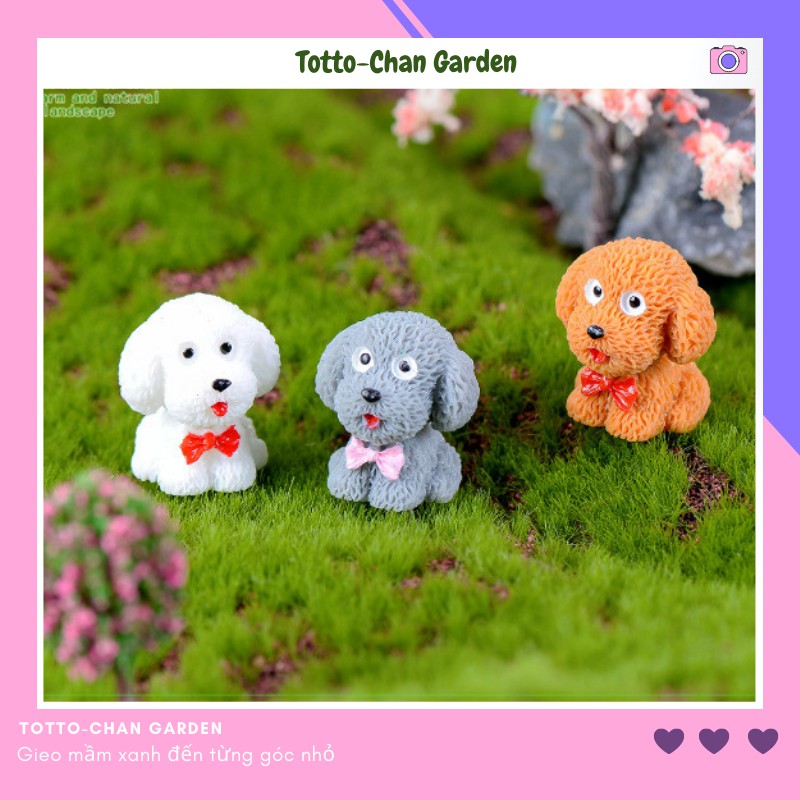 Phụ kiện tiểu cảnh mini - Chó teddy dễ thương trang trí tiếu cảnh terrarium