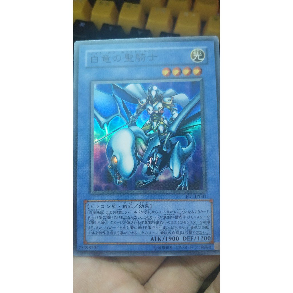 Paladin of White Dragon