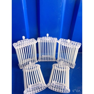Giỏ dế phíp dành cho chim chào mào, chim khuyên