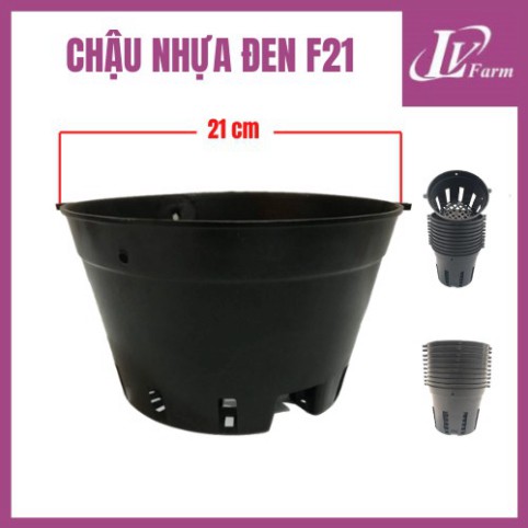 Chậu Nhựa Đen Phi 12-14-16-18-21-23 cm Trồng Hoa Lan, Cây Cảnh