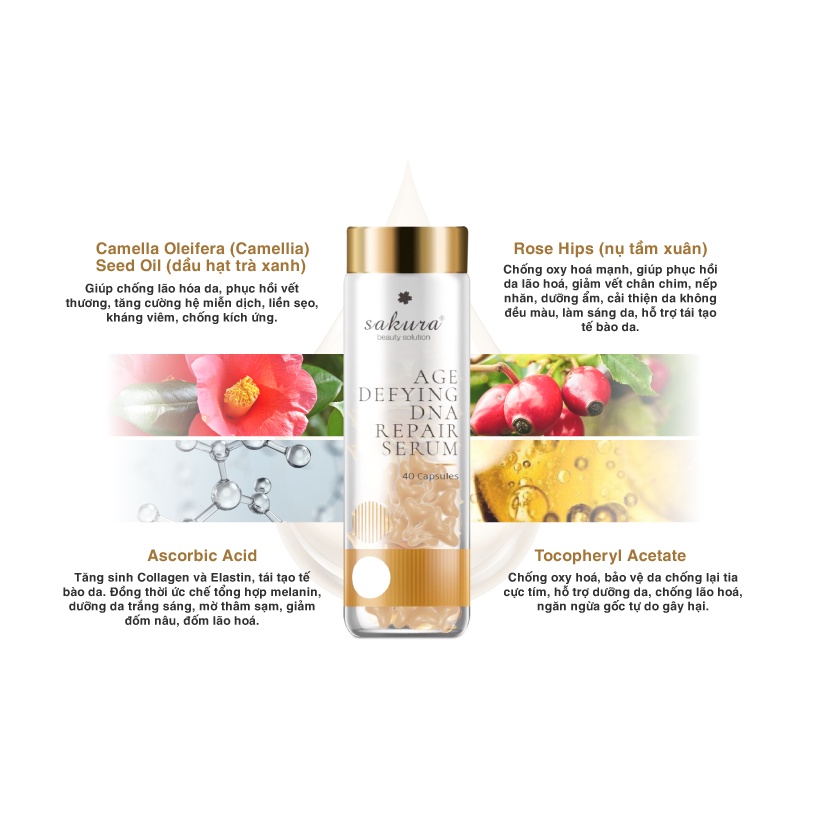 Sakura Placenta CoQ10 Serum chứa Tranexamic acid, tinh chất nhau thai Placenta, Co Enzym Q10, chiết xuất san hô, tảo biể