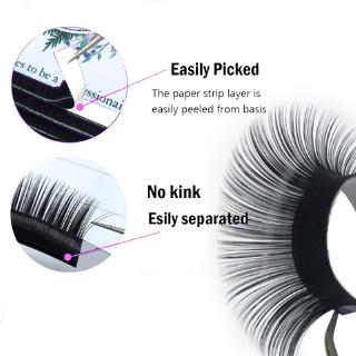 Mi giả 3D cao cấp 0.15mm 12 dòng Curl C D