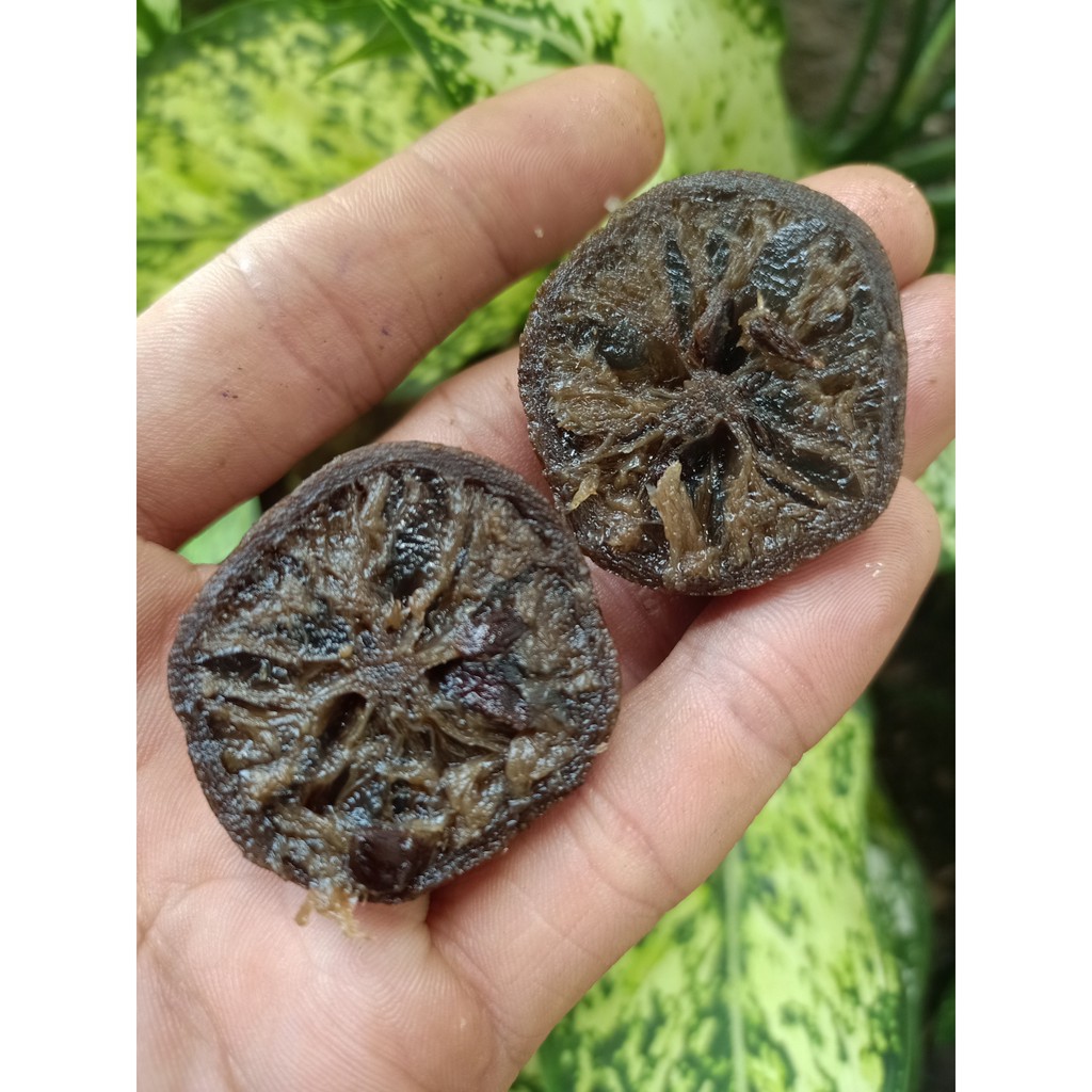 Chanh Muối Trái LÂU NĂM  - Thực Dưỡng