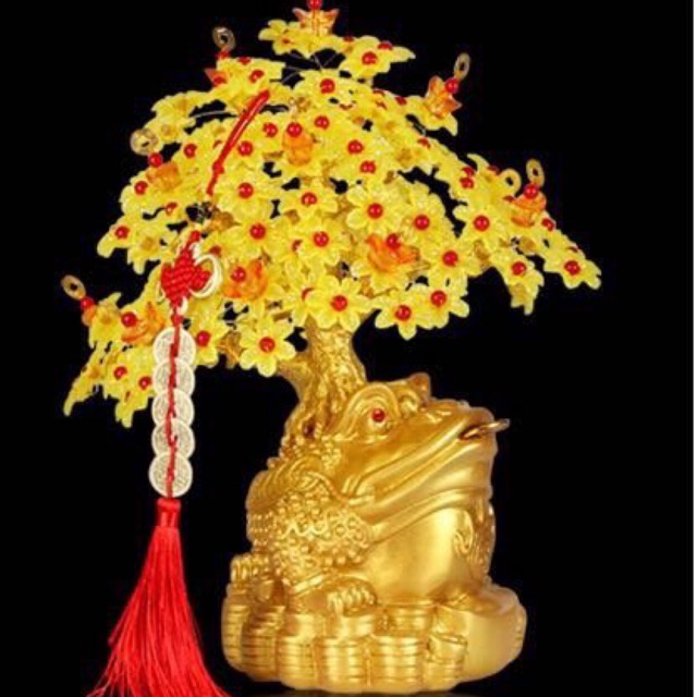 Com bo 1 thác 1 cóc cho sỉ