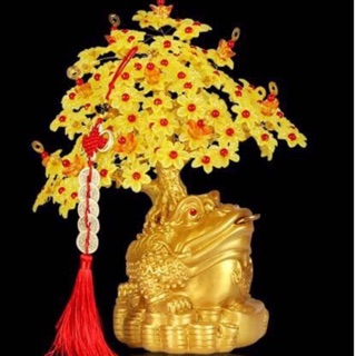 Com bo 1 thác 1 cóc cho sỉ