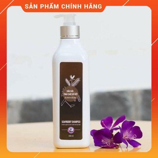DẦU GỘI BỒ KẾT TRẦN MAO - DẦU GỘI THIÊN NHIÊN
