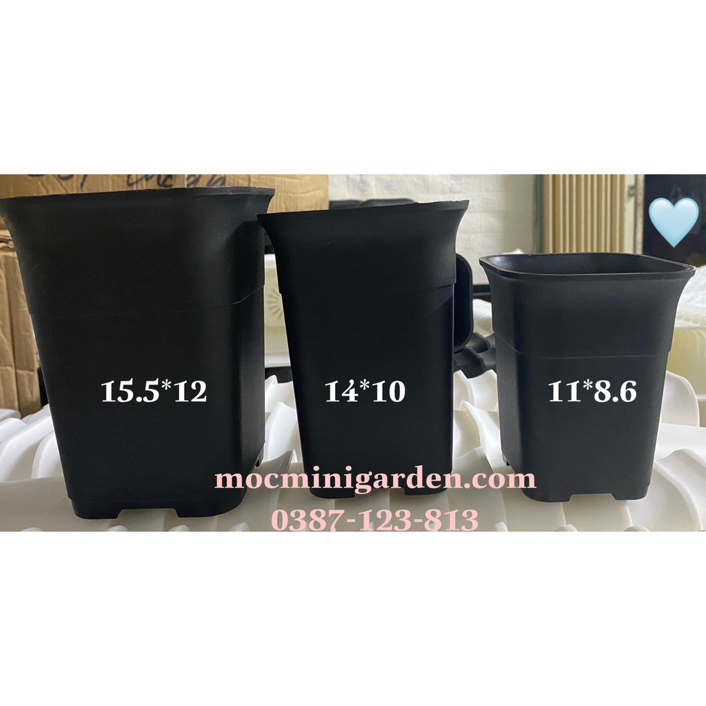 Chậu nhựa cao cấp trồng cây | 3 kích thước | 3 màu | CNV01 || mocminigarden