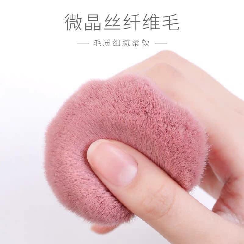 Chổi hồng phủi bụi