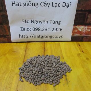 Hạt giống cây Lạc dại 50g