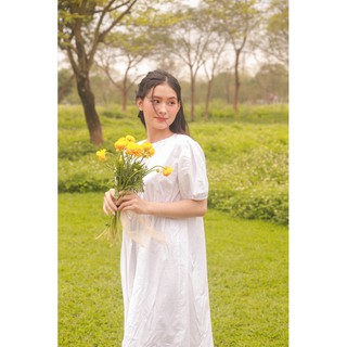 VÁY ĐI CHƠI - NORAN DRESS - VÁY DÁNG SUÔNG TAY BỒNG - V0127