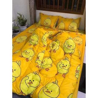 Bộ chăn phao ga gối poly set 5 món