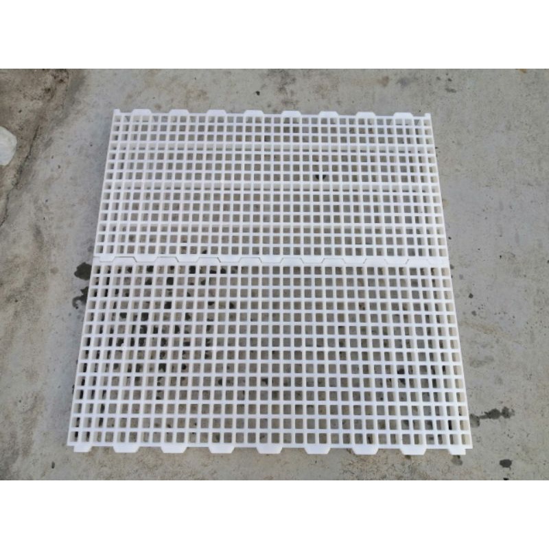 Sàn nuôi dê, vịt, chồn hương 100x50cm