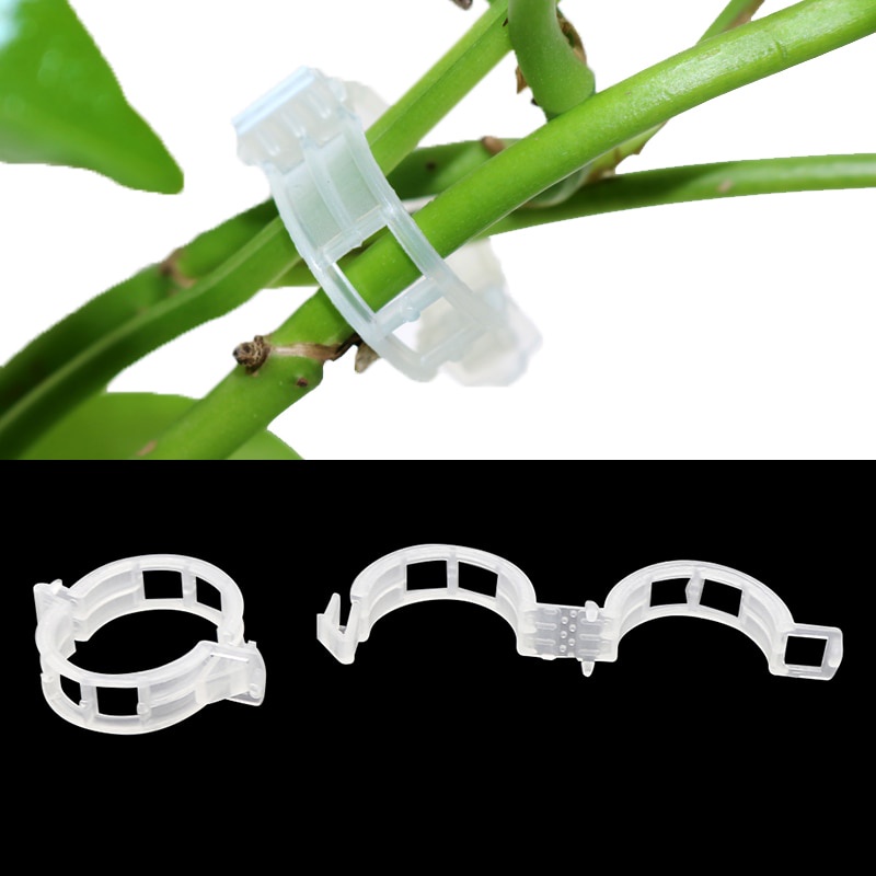 Set 100 kẹp cố định cành cây tiện lợi chất liệu nhựa