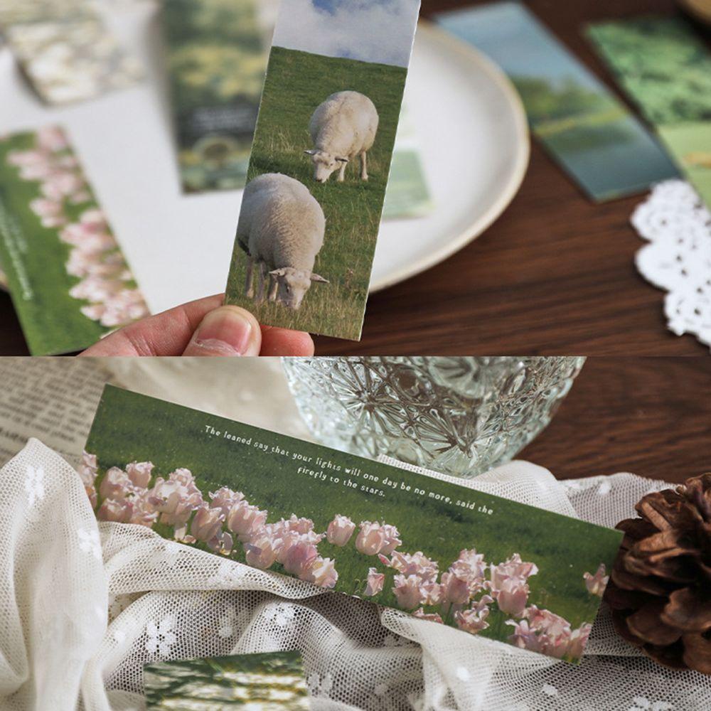 DORAW Hộp 30 Thẻ Giấy Đánh Dấu Sách Sáng Tạo