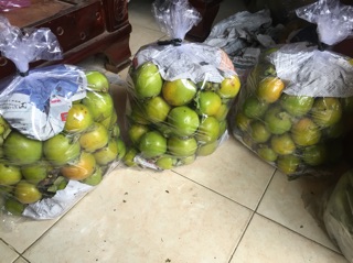 Hồng giòn ĐÀ LẠT