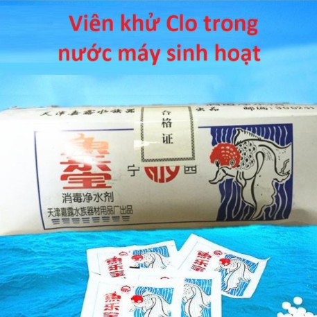 1 gói - 20 Viên khử clo- Khử nước mới cho bể cá- Khử clo nước máy