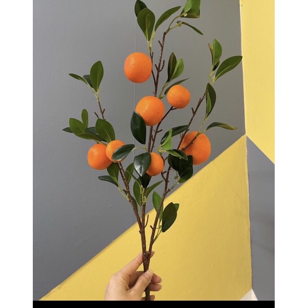 Cành quýt giả Decor