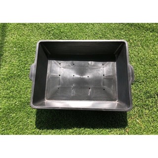 KHAY NHỰA TRỒNG CỎ LÚA MÌ & RAU MẦM 40x50x10