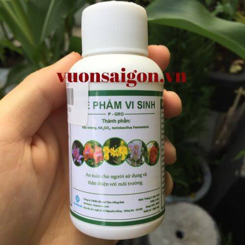 Chế phẩm vi sinh P – Gro (chai 100ml) ngăn ngừa sâu bệnh tăng sức đề kháng (Vườn Sài Gòn - Vuon Sai Gon)