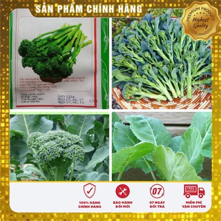 Hạt Giống Súp Lơ Mini LUCKYSEEDS