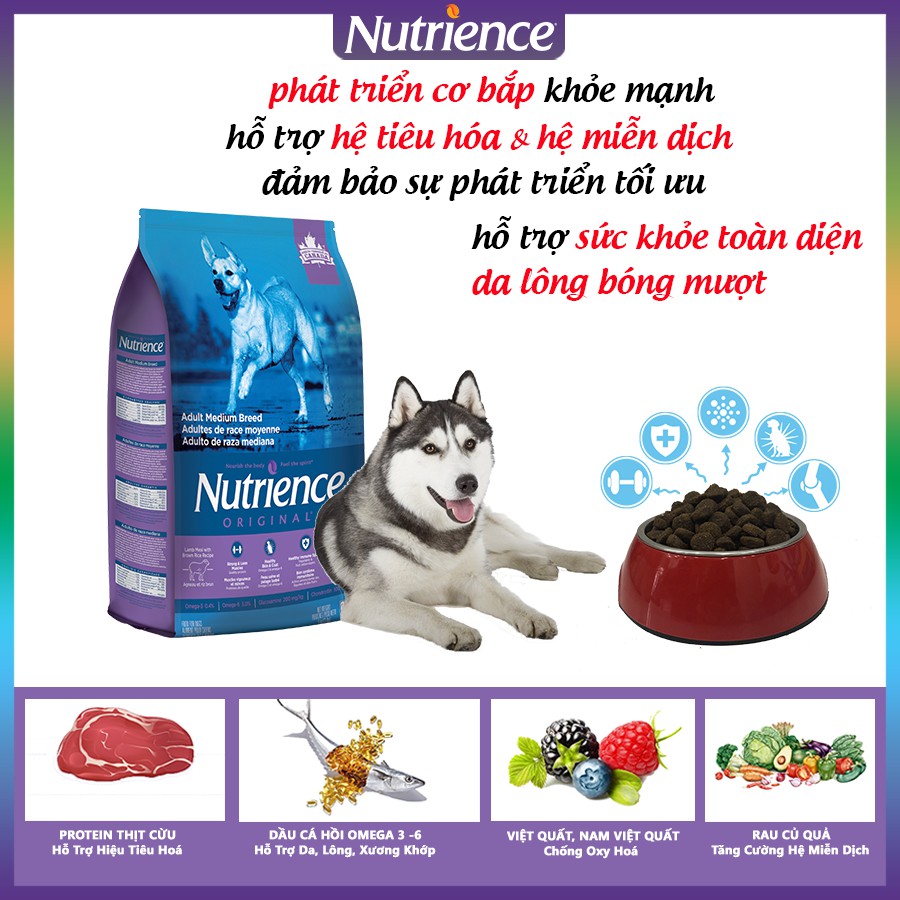 [Nhập Khẩu Canada] Thức Ăn Cho Chó Husky Nutrience Original Bao 5kg Phát Triển Cơ Bắp - Thịt Cừu, Rau Củ, Trái Cây