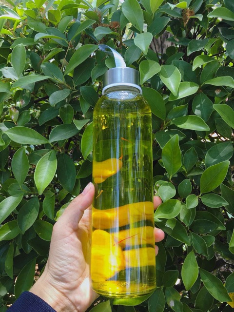 BÌNH DETOX THUỶ TINH 500ml GIÁ SIÊU HẠT RẺ‼️