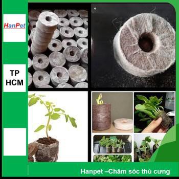 HCM- Bộ 10 Viên nén xơ dừa để ươm hạt và kích thích nảy mầm