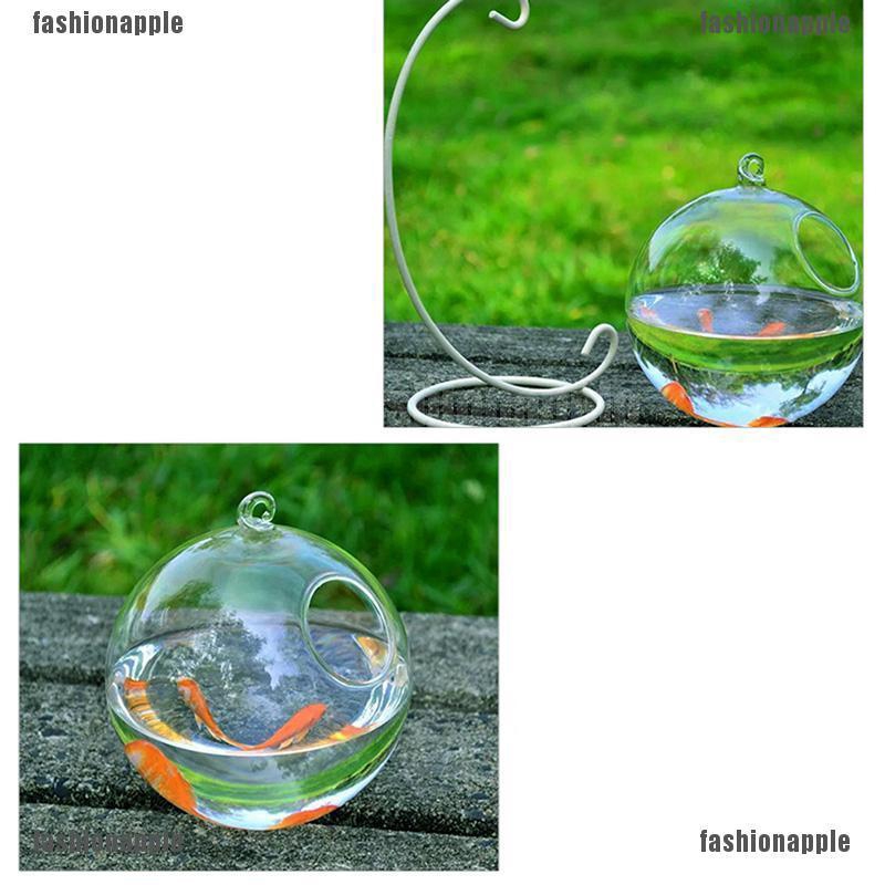 Bình Hoa Thủy Tinh Treo Tường Trang Trí Nhà Cửa