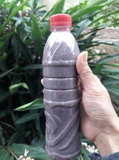 Combo  500g mắm tôm. 500g mắm tép cửa lò nghệ An hảo hạng