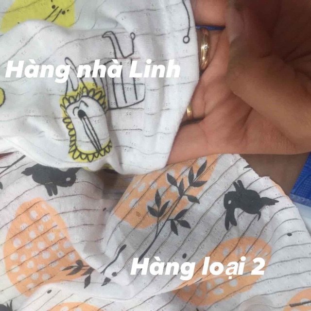 combo 10 bộ cotton giấy
