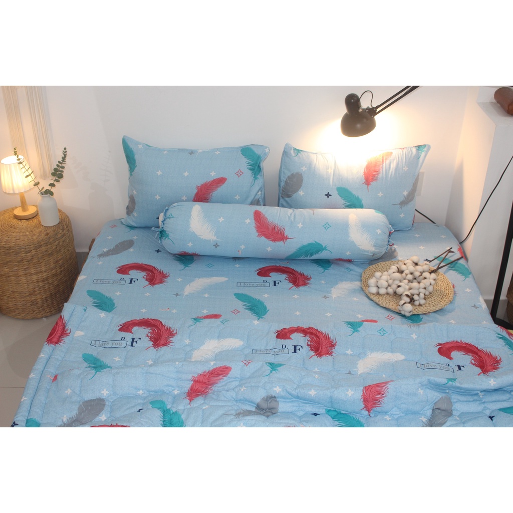Bộ drap 4 món Cotton - Mẫu Lông Vũ Nền Màu Xanh
