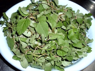 5GR - HẠT GIỐNG RAU DỀN CƠM