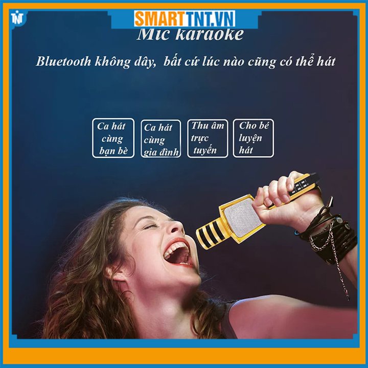 Micro kèm loa bluetooth SDRD magic karaoke SD-17 cao cấp