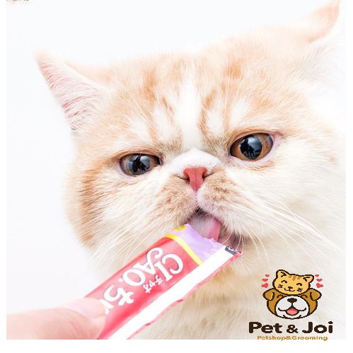 [1 THANH] Súp thưởng Ciao Churu cho mèo nhiều vị - PET&amp;JOI