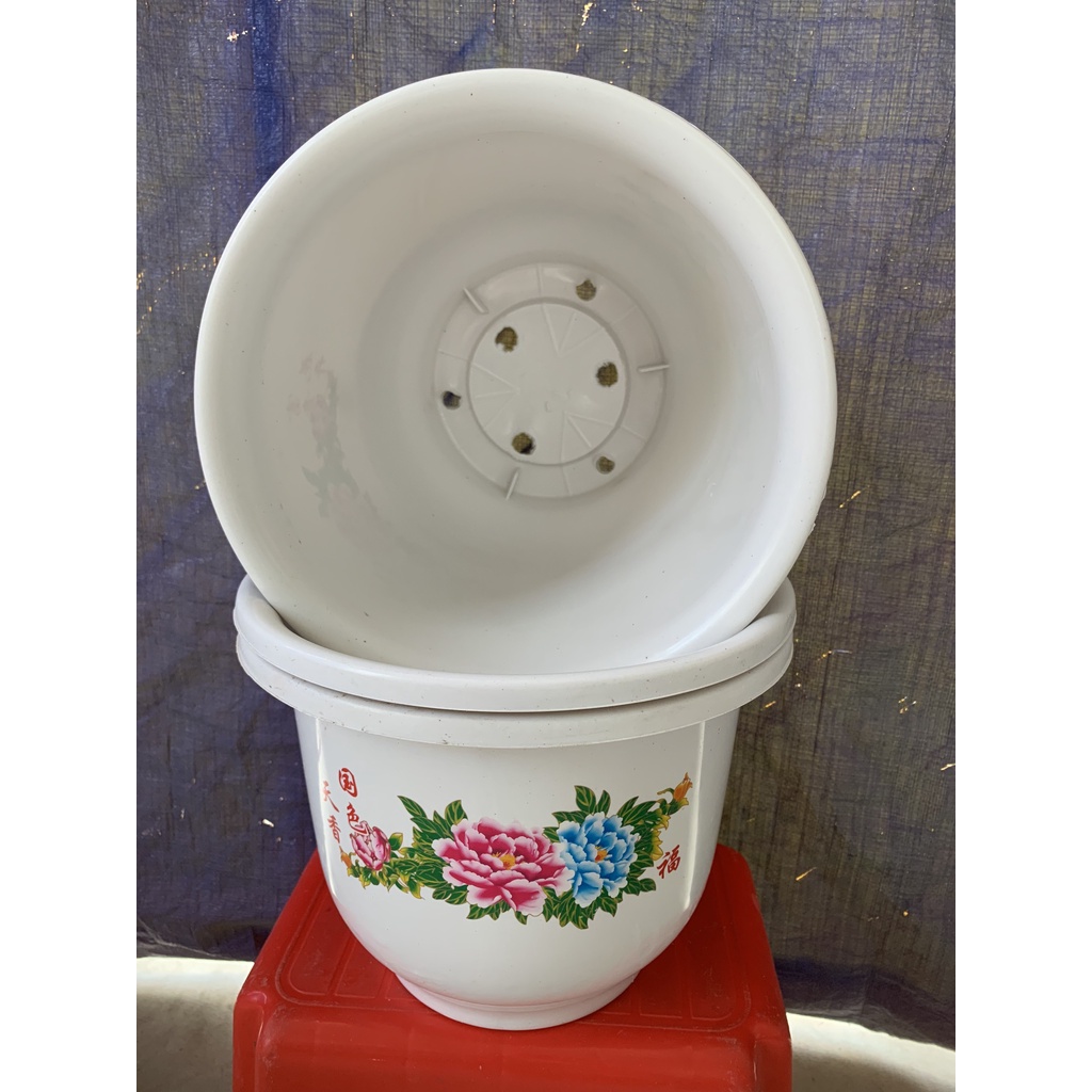 COMBO 15 CHẬU NHỰA HOA MẪU ĐƠN #H260 SIÊU ĐẸP (DỊCH TRUYỀN CHO CÂY, KEO LIỀN SẸO, BẠT PHỦ ĐẤT CHỐNG CỎ MỌC...)