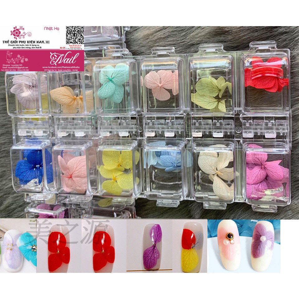 Hoa Khô Lụa 12 Màu Cánh To Ẩn Gel, Ẩn Bột - Phụ Kiện Trang Trí Móng Nail Art