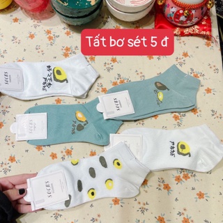 Tất cổ ngắn hình quả bơ siêu yêu