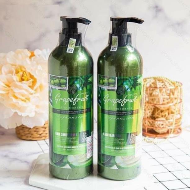 Dầu Gội Tinh Dầu Bưởi, Dầu Gội GRAPEFRUIT | BigBuy360 - bigbuy360.vn