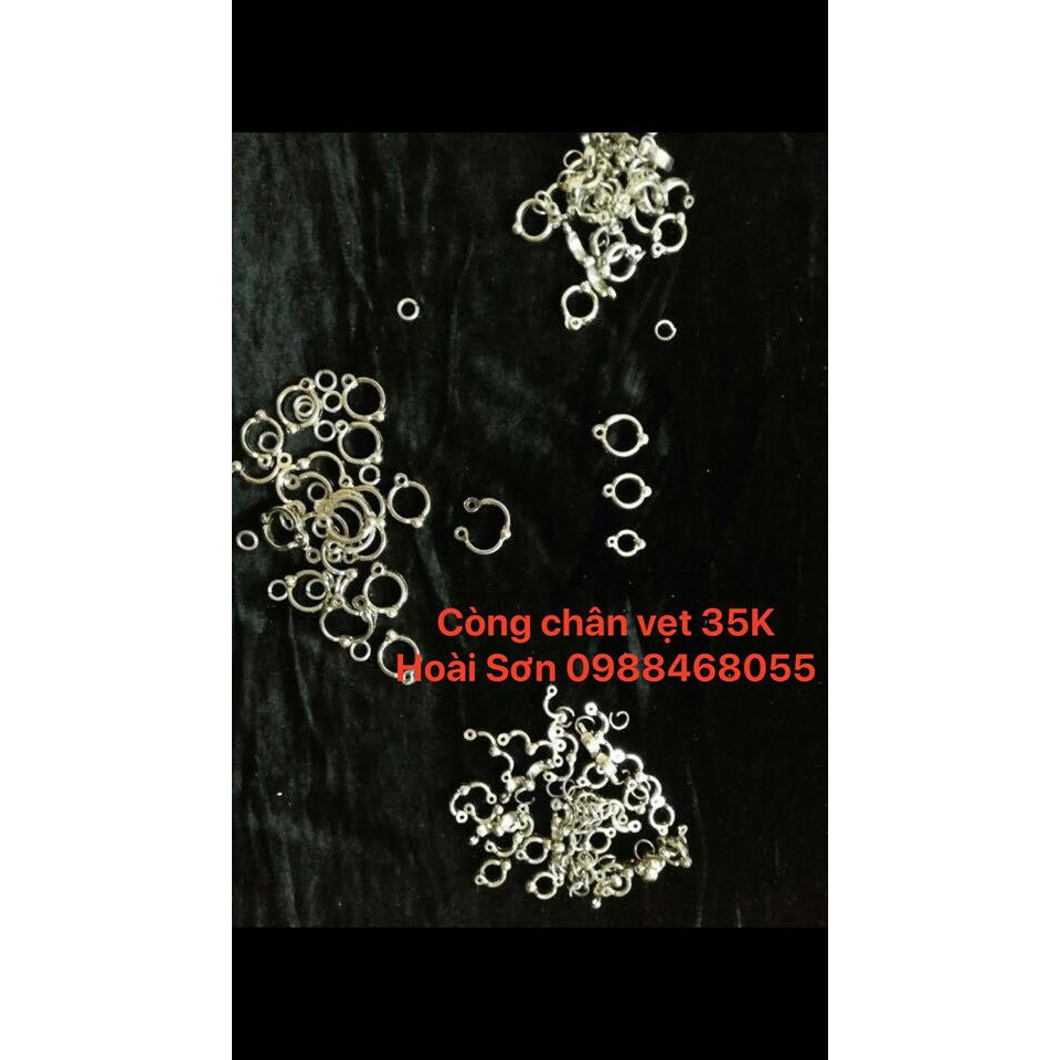 Còng chân cho vẹt