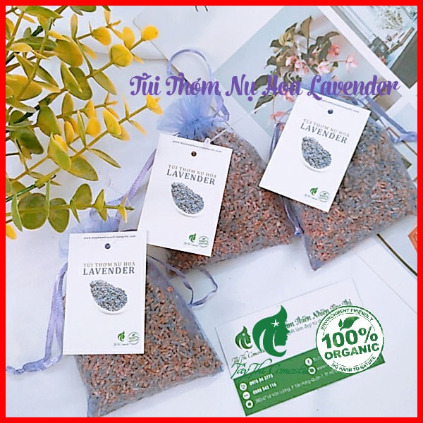 Túi Thơm Nụ Hoa Lavender Khô Tây Thi 20 Gram