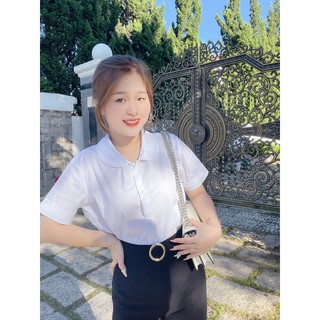 Sơ Mi Cổ tròn ảnh chụp thật