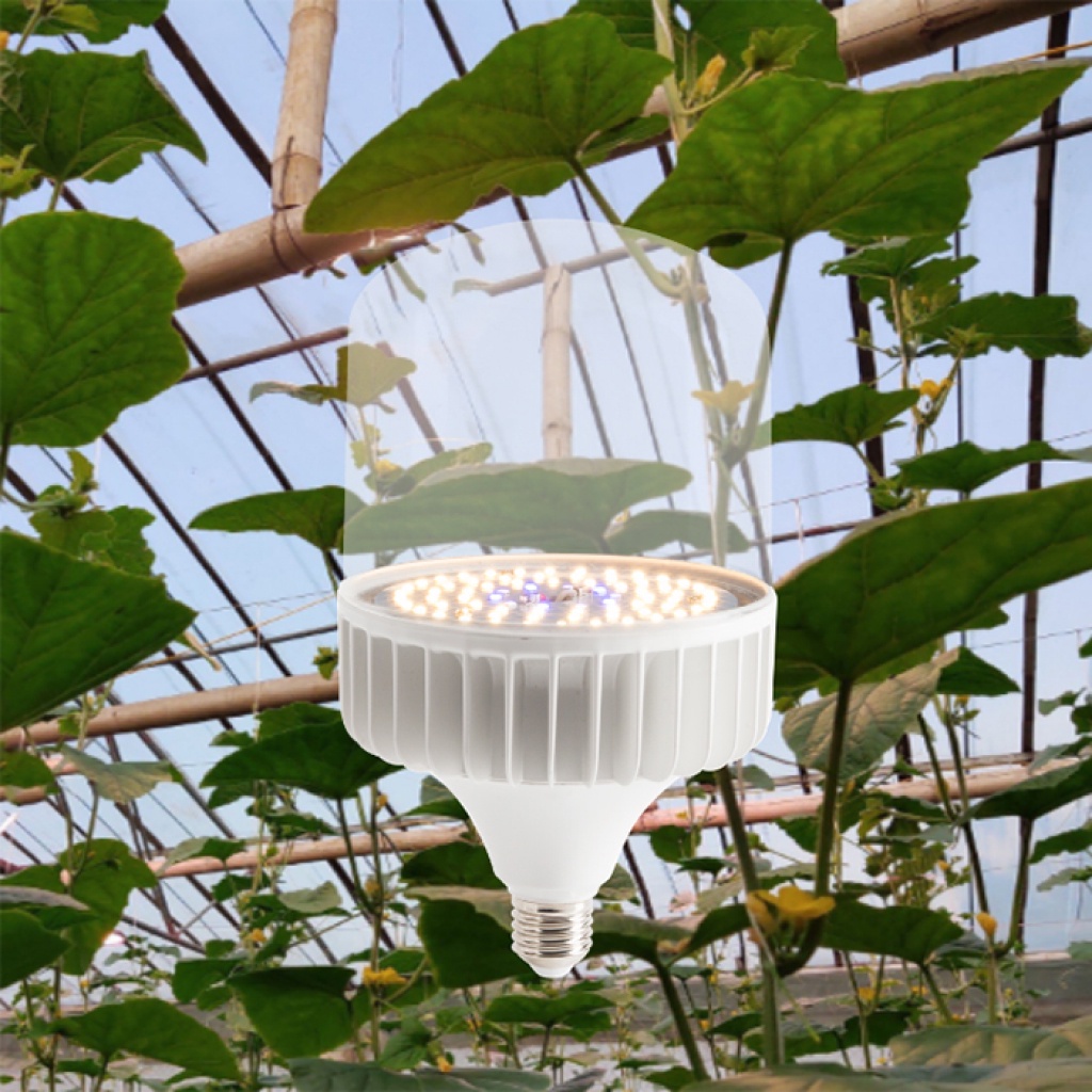 Đèn LED Trồng Cây và Quang Hợp Cho Cây Trong Nhà, Đủ Phổ Như Ánh Sáng Tự Nhiên, Chính Hãng Rạng Đông, Bảo Hành 2 Năm.