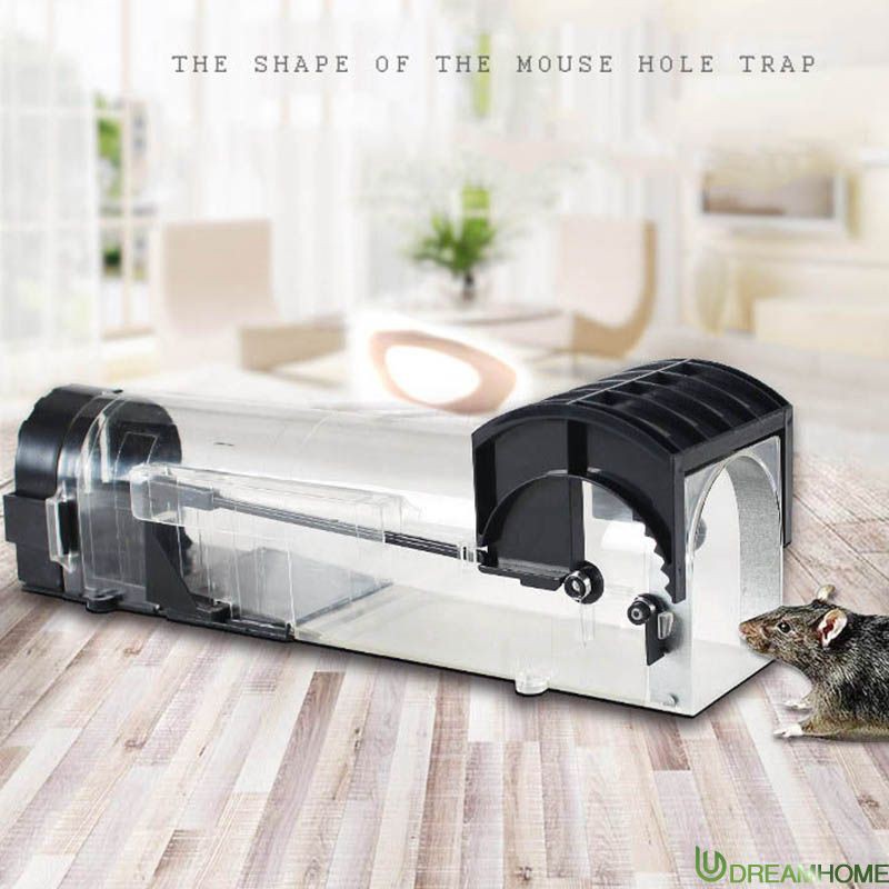 1 Bẫy Bắt Chuột Thông Minh Trong Suốt