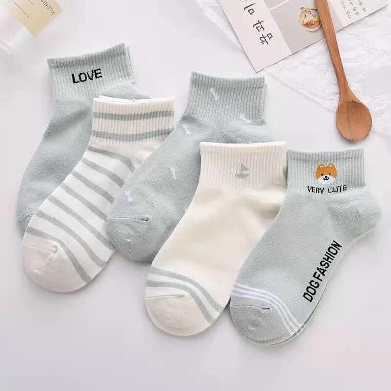 Combo set 5 đôi tất nhiều mẫu