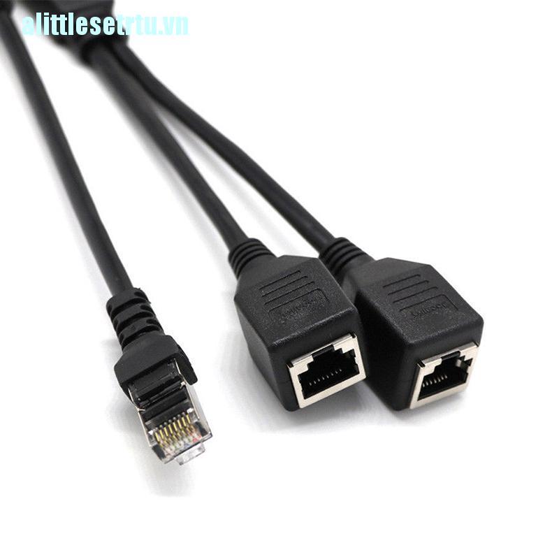 Đầu Chia Dây Cáp Mạng Rj45 1 Male Sang 2 Female